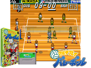 Multi Play Volleyball (J) [h1C] Cover